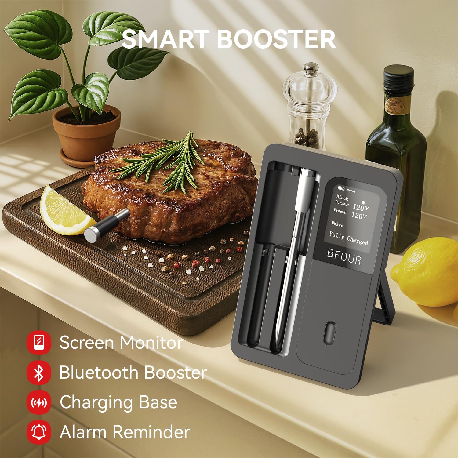 Kitchen Appliances Video - Kabelloses Fleischthermometer, wasserdichte Bluetooth-Sonden, wiederaufladbar, mit