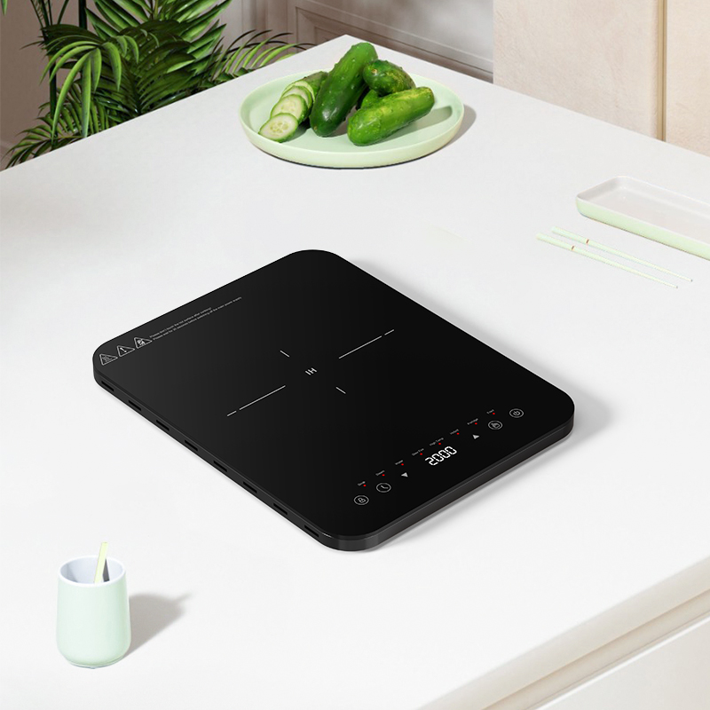 Induktionskochfelder mit doppe – Induction Cooktop Portable Bewertung und Preis