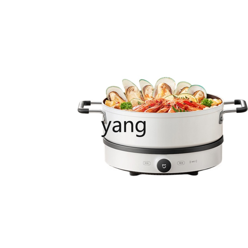 LMM Induktionskochfeld für den – Induction Cooker Bewertung und Preis