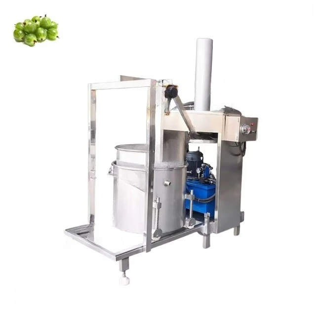 Industrielle hydraulische Wein – Juicer Bewertung und Preis