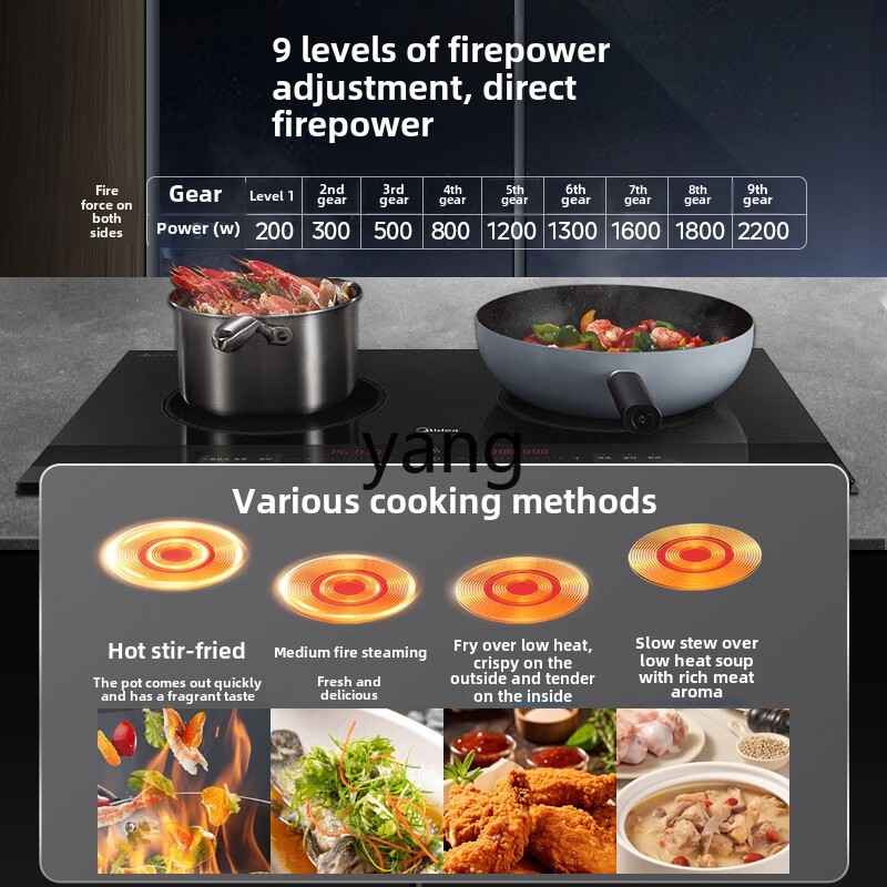 CX Induktionskochfeld, Doppelk – Induction Cooker Bewertung und Preis