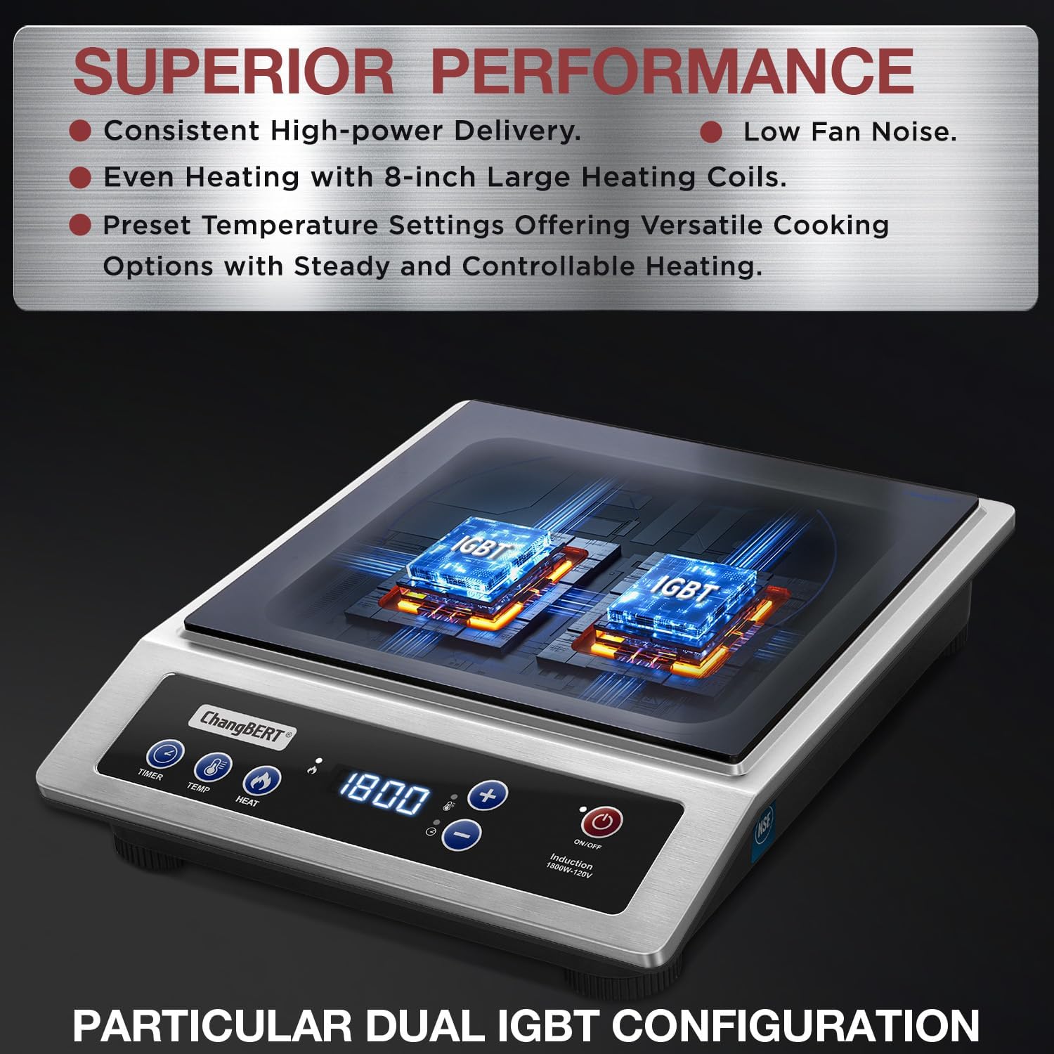 Induktionskochfeld, tragbarer  – Induction Cooktop Portable Bewertung und Preis